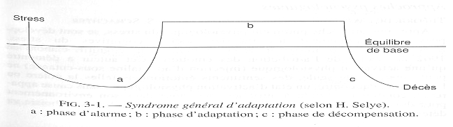 Syndrome général d'adaptation de Selye