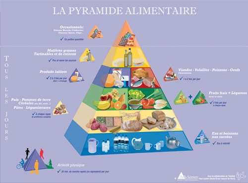 La pyramide alimentaire